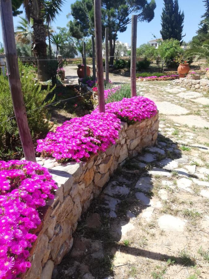 Monte Viana Villa Fuseta Buitenkant foto